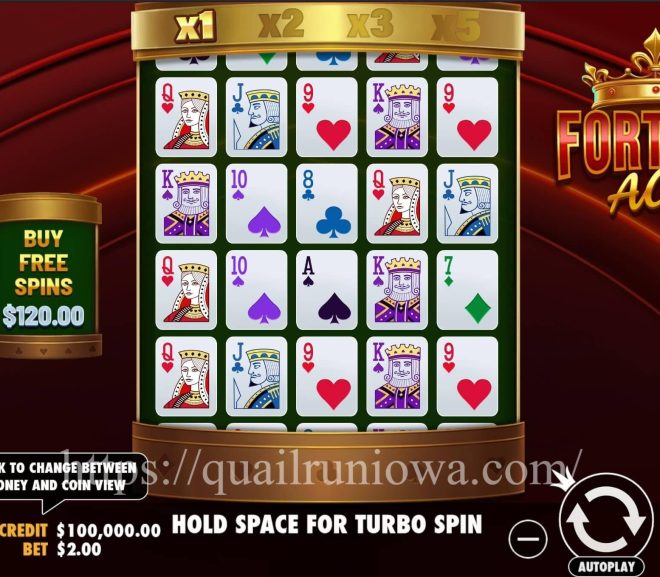 Fortune Ace: Slot Kartu Keberuntungan dengan Sentuhan Kemewahan Kasino