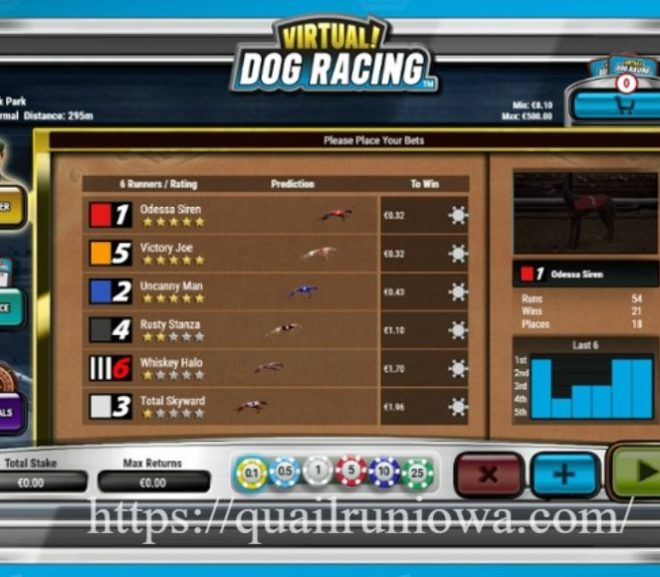 Virtual! Dog Racing: Simulasi Balap Anjing dengan Nuansa Kompetisi